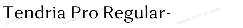 Tendria Pro Regular字体转换 Tendria Pro Regular字体转换